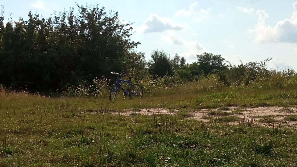 Polana w Zarzeczewie 1