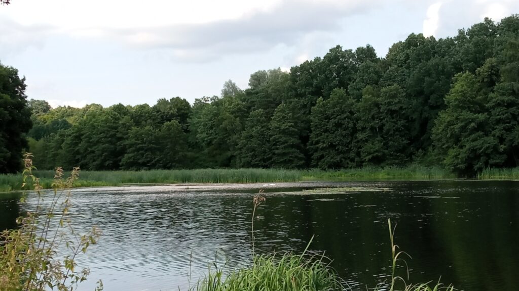 Zatoka w Zarzeczewie 3