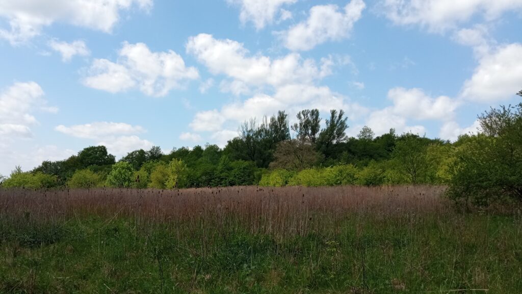 Polana nad Wisłą 1