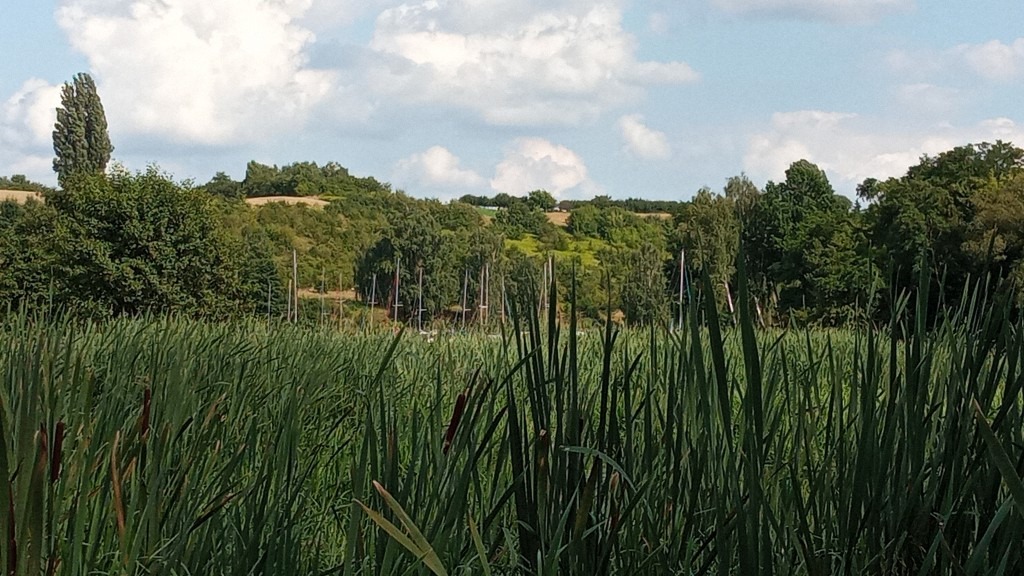 Zatoka w Zarzeczewie, widok na skarpy i wzniesienia nad Wisłą