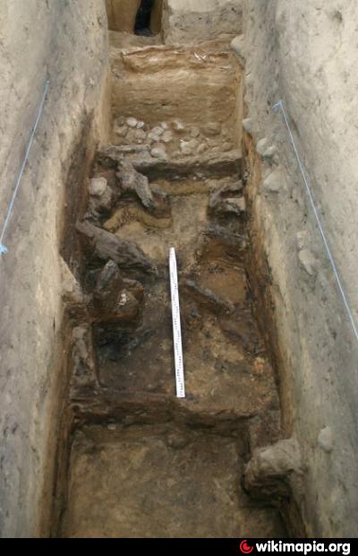 Wykopaliska, grodzisko w Zarzeczewie