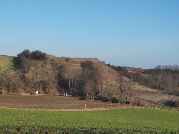 Grodzisko w Zarzeczewie