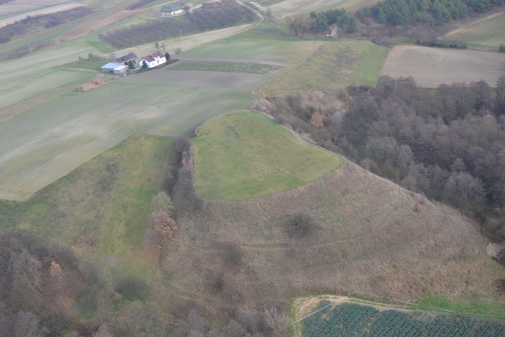 Grodzisko z lotu ptaka, Zarzeczewo