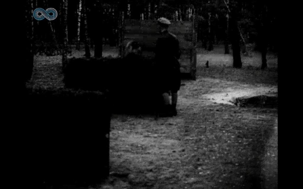 Zakończenie tresury psów obronnych