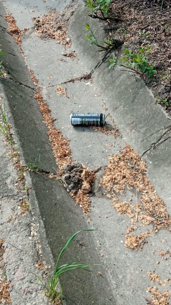 Zalegające śmieci, zdjęcia z Zawiśla, 05.2023