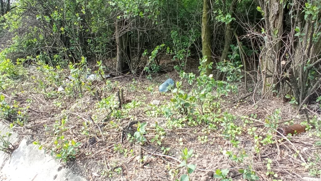 Zalegające śmieci, zdjęcia z Zawiśla, 05.2023