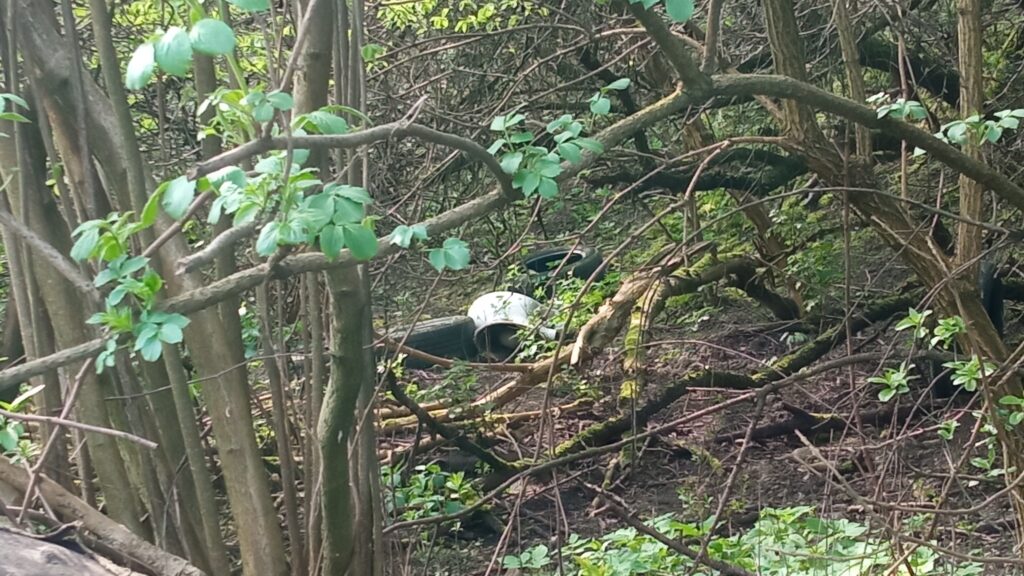 Zalegające śmieci, zdjęcia z Zawiśla, 05.2023