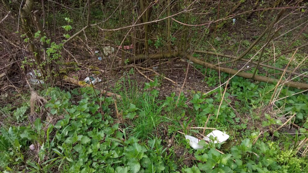 Zalegające śmieci, zdjęcia z Zawiśla, 05.2023