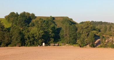 Grodzisko w Zarzeczewie