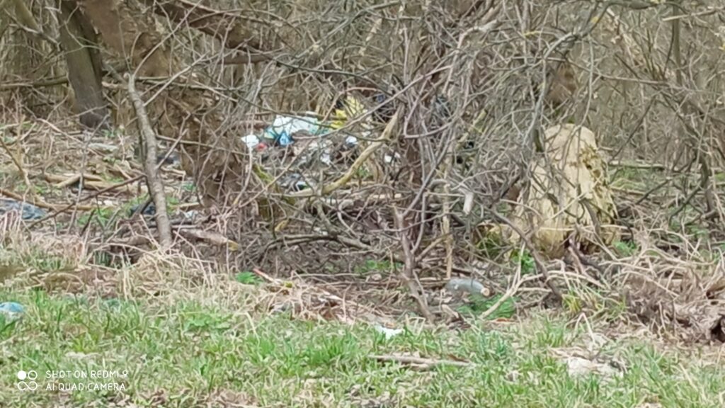 Zalegające śmieci, zdjęcia z Zawiśla, 04.2021