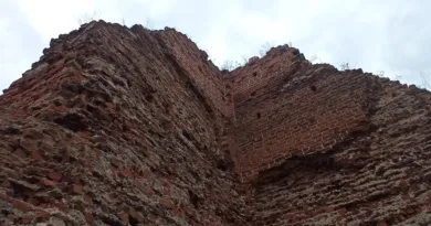 Wieża główna zamku w Bobrownikach