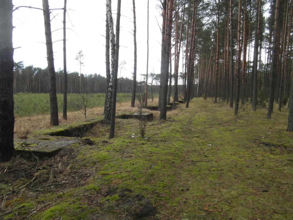 Pozostałości nieukończonej niemieckiej fabryki pod Michelinem