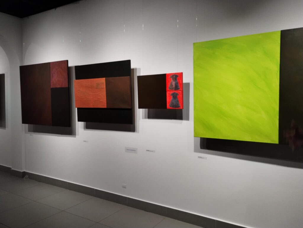 Fragment wystawy „Spojrzenia. Natura rzeczy” w włocławskiej Galerii Sztuki Współczesnej