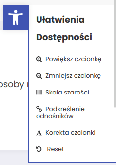 Zrzut ekranu z nową zakładką z ułatwieniami dostępności.