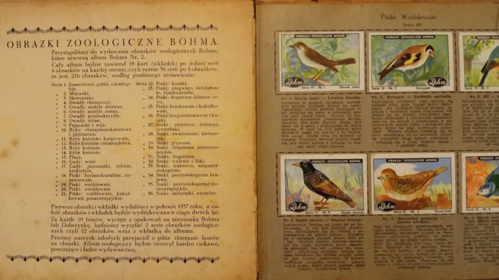 Wnętrze albumu zoologicznego Bohma