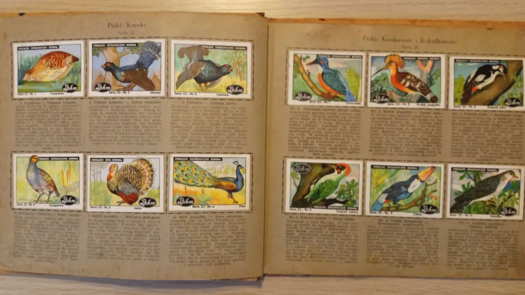 Wnętrze albumu zoologicznego Bohma