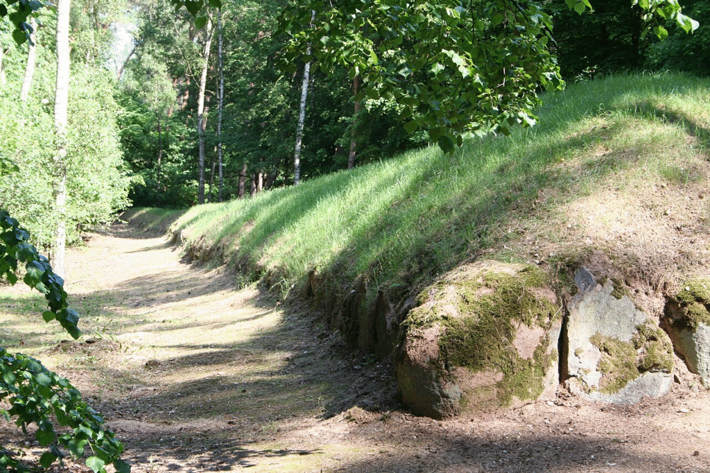 Grobowiec megalityczny w Wietrzychowicach