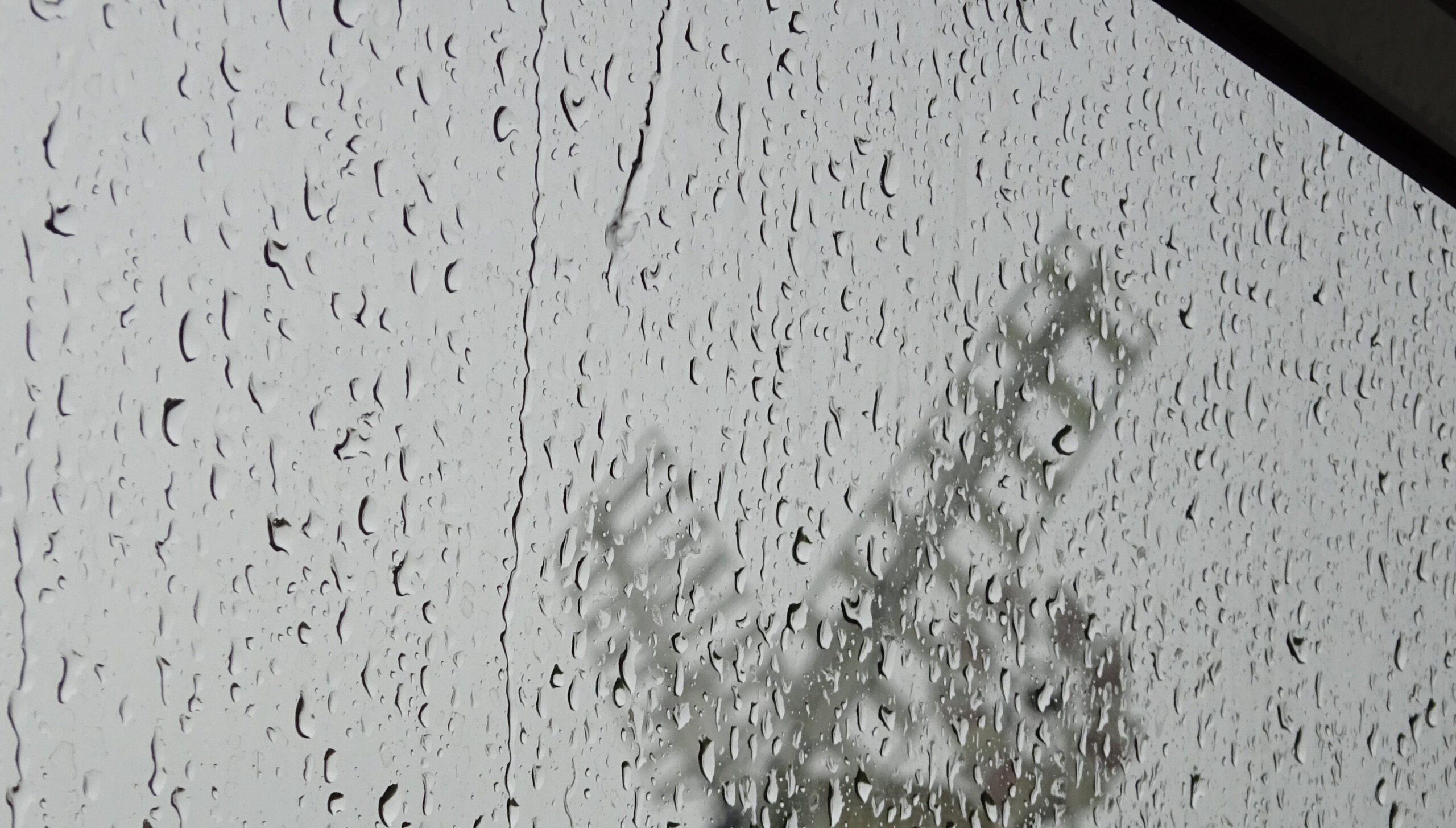 Deszczowa pogoda za oknem. W tle stary drewniany wiatrak. Szyba pokryta licznymi kroplami wody.